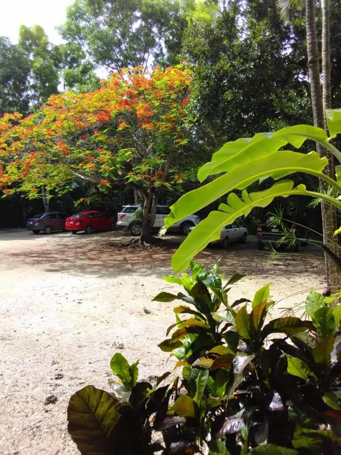 Villas Ecotucan Bacalar Eksteriør bilde