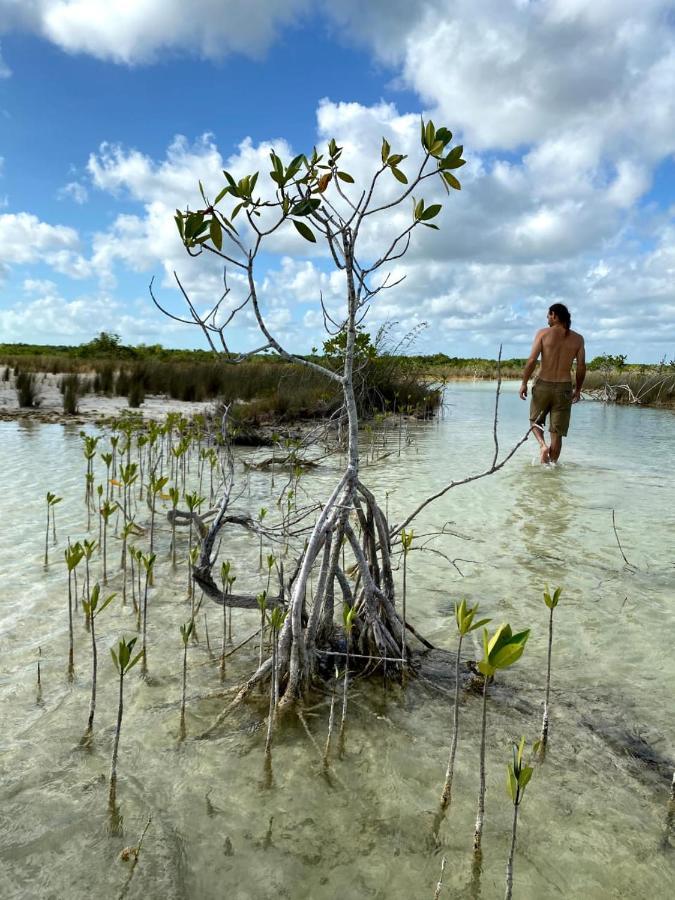 Villas Ecotucan Bacalar Eksteriør bilde