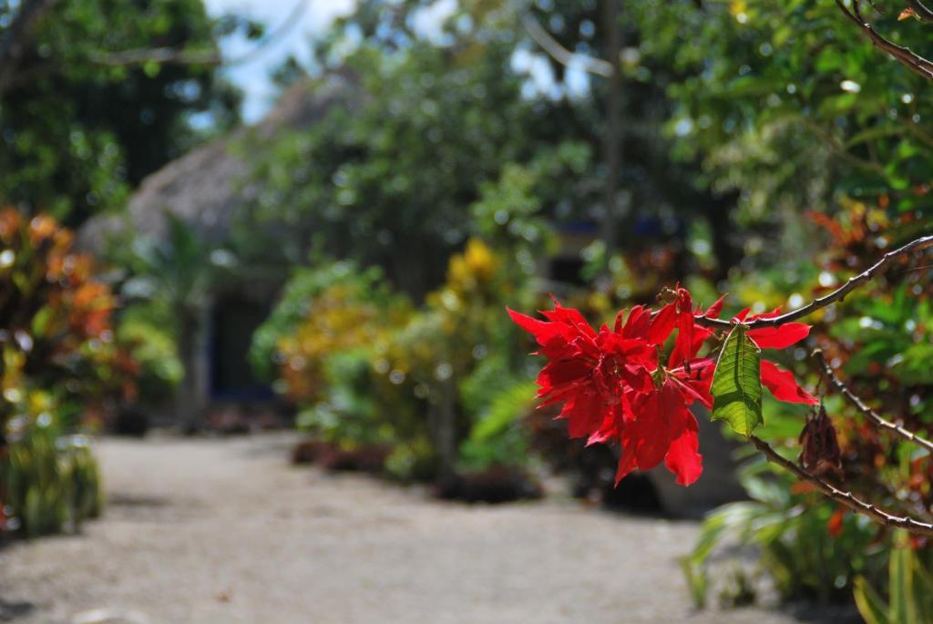 Villas Ecotucan Bacalar Eksteriør bilde